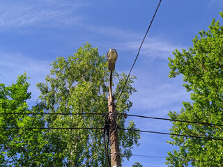 electric pole with wires against the blue sky and green trees