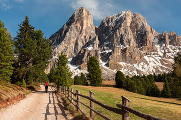Fototapeta na wymiar Dolomites mountains in the North of Italy, Trentino, Alp