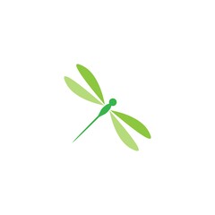 Dragonfly logo icon design concept template illustration