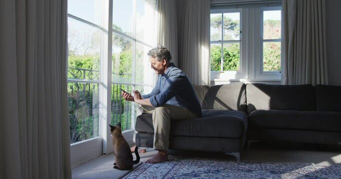 Happy senior caucasian man sitting in sunny living room using smartphone and stroking cat