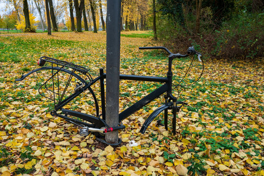 Bicycle without wheels in the park