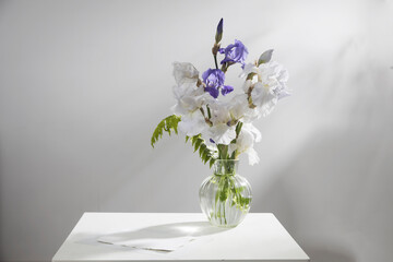 White and blue irises together with fern in a transparent vase on a white table