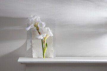White iris flower on the background of white watercolor paper on the table.