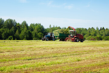 Hay harvesting in the field.