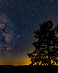 Obraz na płótnie Canvas Via lactea en las montañas de Arizona abajo de las estrellas con arboles de pinos con vista de estrella fugaz y Júpiter durante atardecer