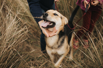 Family pet the dog from the shelter