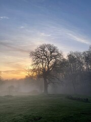 Fototapeta premium Fairytale morning