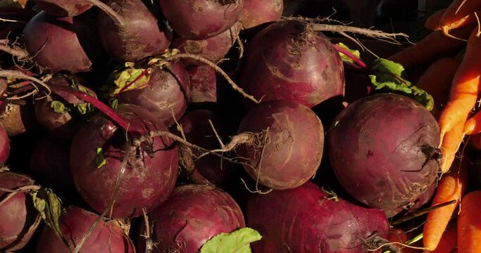 Fresh vegetables on stalls in a southern France market. Carrots and beets