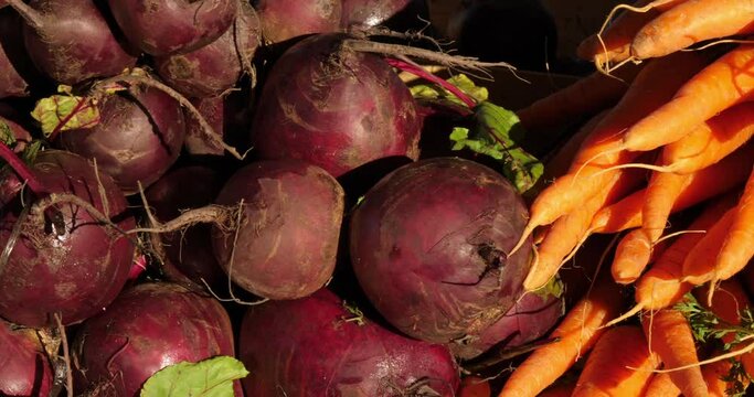 Fresh vegetables on stalls in a southern France market. Carrots and beets