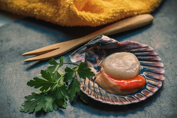 scallops or raw natural scallop in its shell on stone
