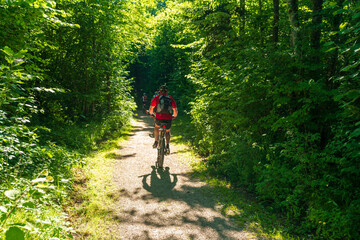 Naklejka premium Radfahrer im Wald
