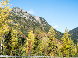 Fall foliage at Stevens pass along US highway 2 in Cascade Mountains - Washington state, USA
