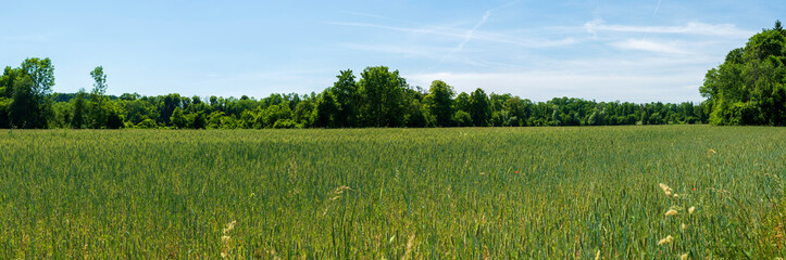 Feld und Wiesen Panorama in Oberösterreich