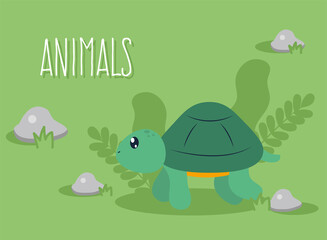 turtle and animals text