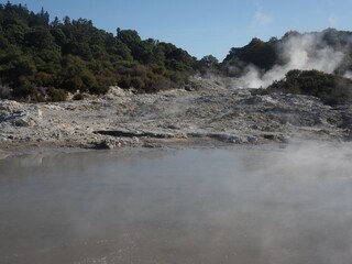 New Zealand 