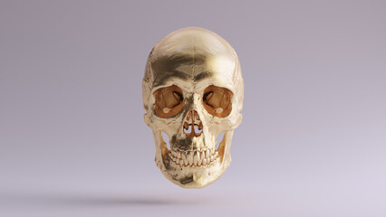 Gold Human Female Skull Medical Anatomical with Teeth and Jaw Bone 3d illustration render