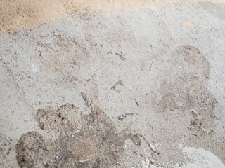 Wasted concrete wall by time.