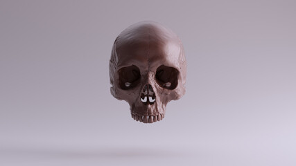 Fototapeta premium Brown Clay Chocolate Human Female Skull Medical Anatomical with Teeth 3d illustration render