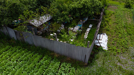 apiary near the house with a garden