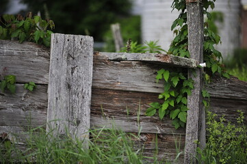 old fence post on farm