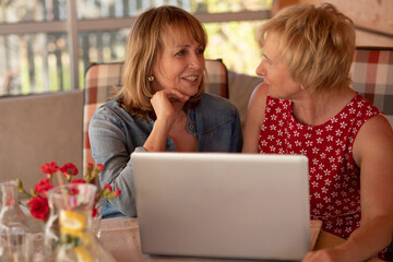 Mature woman with her friend her friend is sitting at a laptop and looking at her