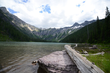 Landscape view of a lake with logs at Glacier National Park in Montana