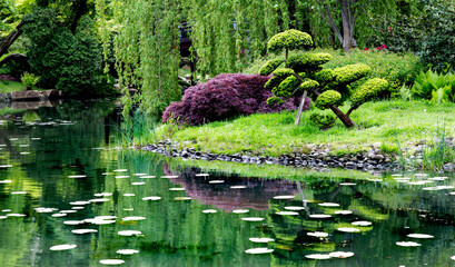 Japanese garden. Harmony in nature. Place of peace and quiet. Contemplation and meditation in a...
