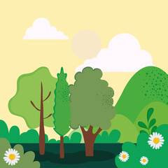 forest landscape scene