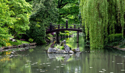 Japanese garden. Harmony in nature. Place of peace and quiet. Contemplation and meditation in a natural setting.