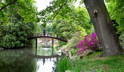 Japanese garden. Harmony in nature. Place of peace and quiet. Contemplation and meditation in a...