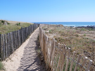 Fototapeta na wymiar A small path on the Atlantic coast. Batz-sur-mer, France, 15th june 2021.