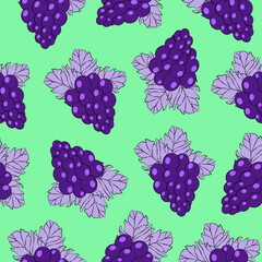 Colorful Vector seamless pattern with bunches of grapes with leaves. Fruit pattern background.