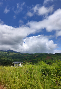 Vertical shot of tall green grasses on a hill under a cloudy sky in Batanes, Philippines