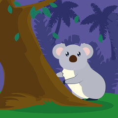 koala and tree