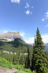 Scenic view of mountains and trees at Glacier National Park in Montana on a sunny day
