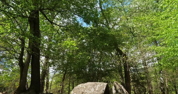 Merlin's Tomb in the forest of Brocéliande, Brittany in France