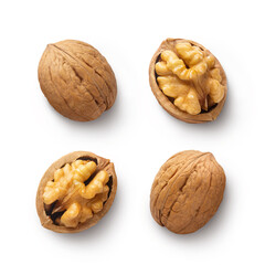 Delicious walnuts, isolated on white background