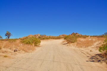 Fototapeta na wymiar Sunny Desert Landscape in Lake Los Angeles