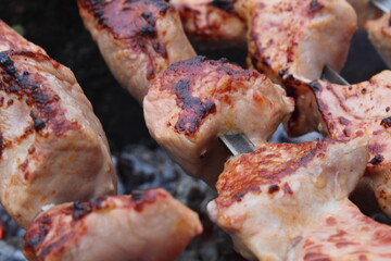 shashlik. Cooking meat on coals. picnic. barbecue. rest. Food in nature