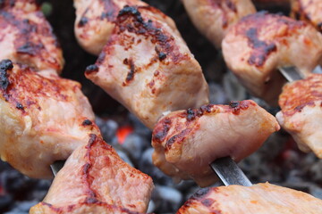 shashlik. Cooking meat on coals. picnic. barbecue. rest. Food in nature