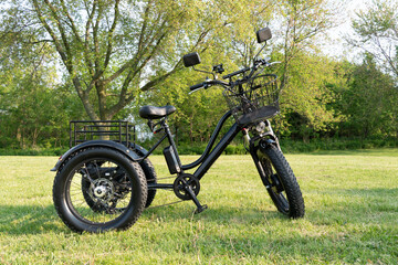 Electric trike or bicycle in the park in sunny summer day. Unfiltered, with natural lighting. E...