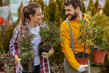 Two smiling gardeners holding pots with evergreen trees and relocating it.