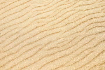 Beach sand background. Nature texture, top view, copy space