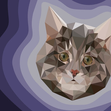 Gato mosaico
