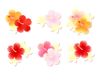 ハイビスカスとプルメリアのイラストセット