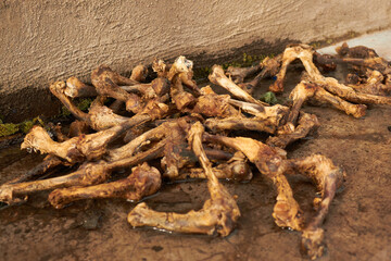 Bone lying on a concrete floor