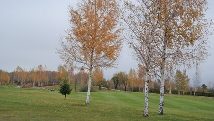 Obraz premium SAMSUNG CSC