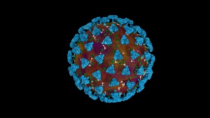 Coronavirus or covid-19 in microscopic view of floating influenza virus cells as dangerous flu strain cases as a pandemic medical health risk isolated on black background. 3D rendering.