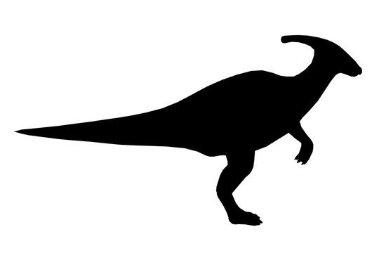Dinosaur silhouette on a white background. Side view. Vector illustration