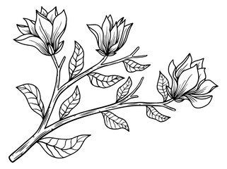 Hand drawn flower sketch line art illustration set.